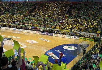 Zlatorog Arena
